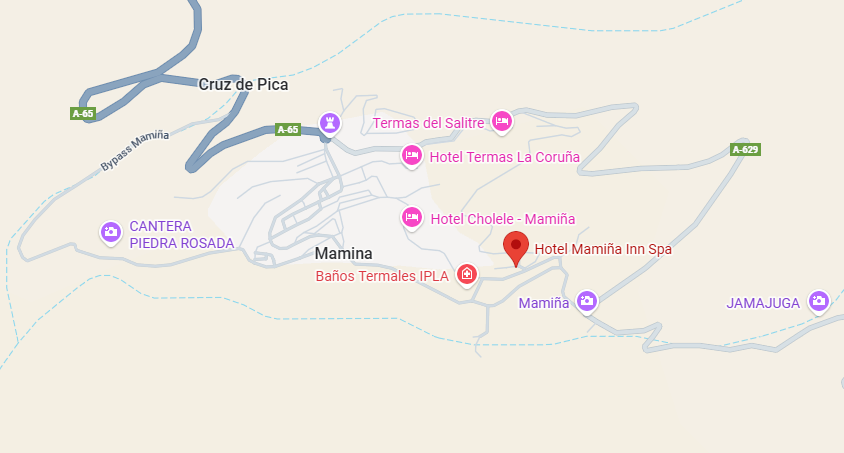 Ver ubicación en Google Maps